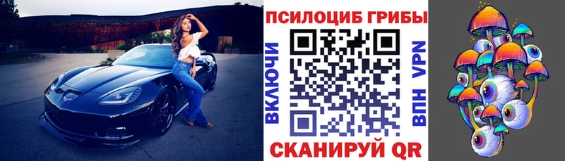 Псилоцибиновые грибы MAGIC MUSHROOMS  даркнет клад  Пугачёв  сколько стоит 